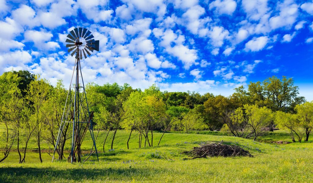 Rural Willis, Texas ranch land &mdash; family law attorney handling rural property and agricultural asset division